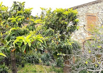 Appartamento Via Pietro Mainero, Toirano - foto 46