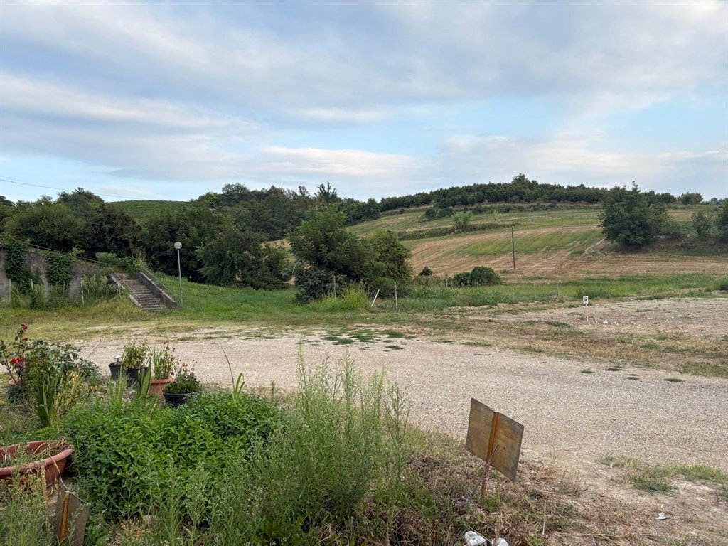 Terraced Villa San Damiano d'Asti - photo 3