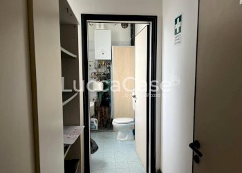 Shed Lucca (neighborhood San Marco) - photo 9