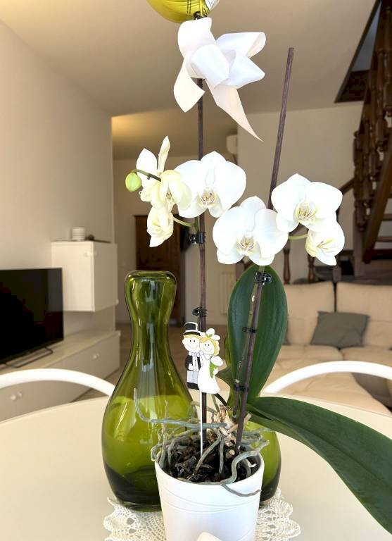 Appartamento corso Alba, Asti - foto 1