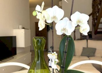 Appartamento corso Alba, Asti - foto 1