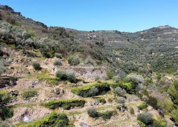 Rustic Via Monsignor Bartolomeo Tornatore, Dolceacqua - photo 15