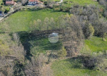 Terreno agricolo Terreno Agricolo Via Gablera, Val della Torre - foto 3