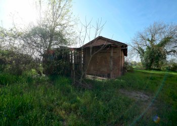 Casale Strada Nazionale Per Carpi Nord, 1260 
 Lesignana, Modena (zona Lesignana) - foto 5