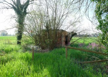 Casale Strada Nazionale Per Carpi Nord, 1260 
 Lesignana, Modena (zona Lesignana) - foto 9