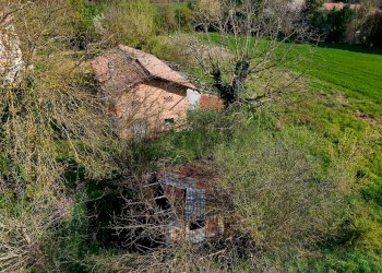 Casale Strada Nazionale Per Carpi Nord, 1260 
 Lesignana, Modena (zona Lesignana) - foto 24