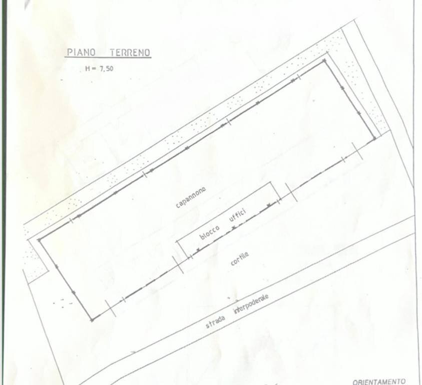 Capannone Alba - foto 2