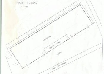 Capannone Alba - foto 2