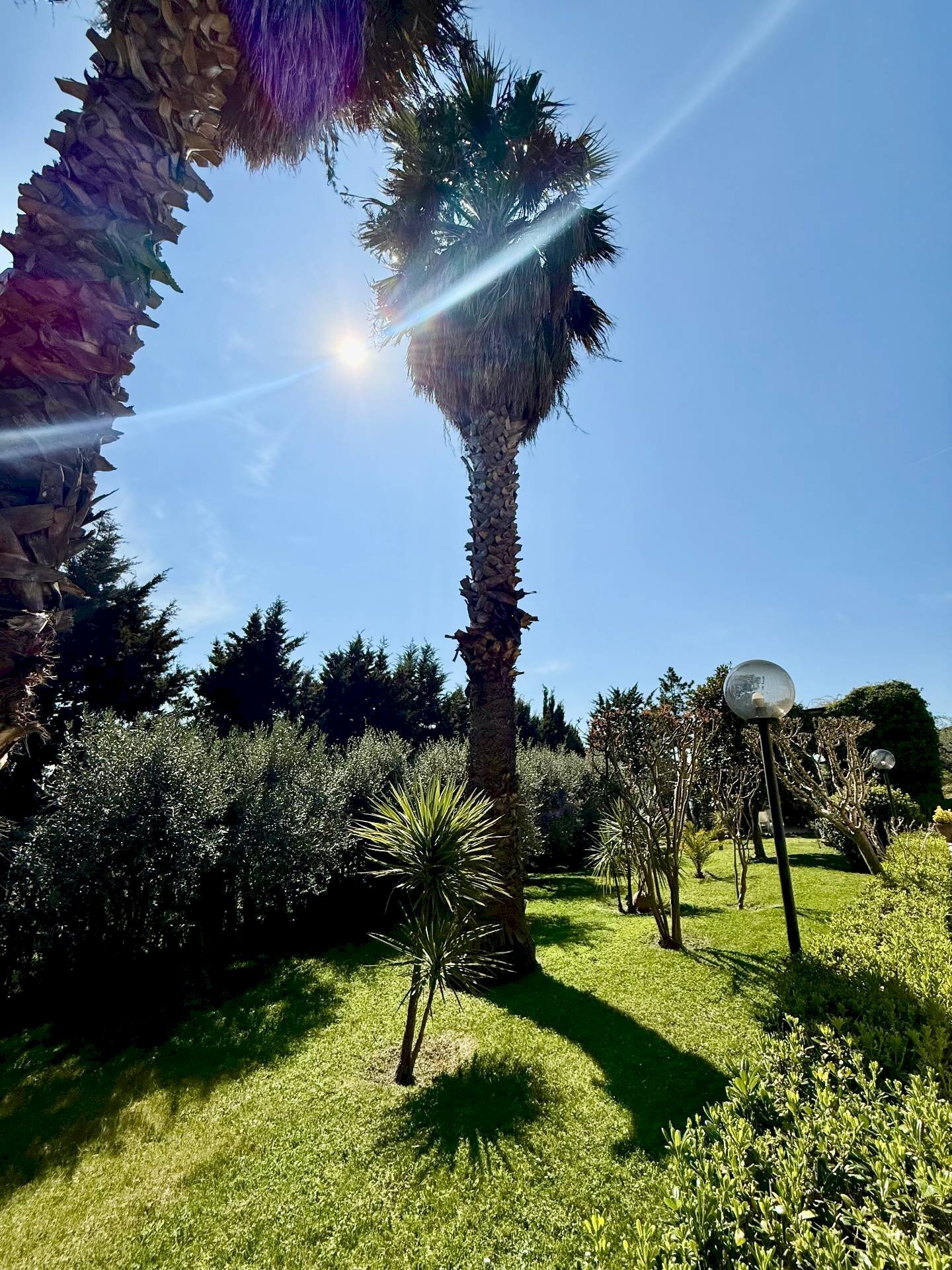 Foto 3 - Rustico Contrada Tesino
 
265, Offida - foto 3