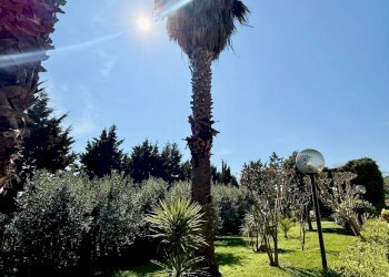 Foto 3 - Rustic Contrada Tesino
 
265, Offida - photo 3