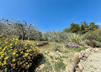 Foto 4 - Rustic Contrada Tesino
 
265, Offida - photo 4