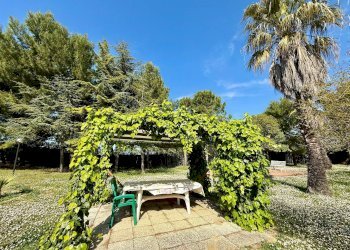 Foto 6 - Rustic Contrada Tesino
 
265, Offida - photo 6