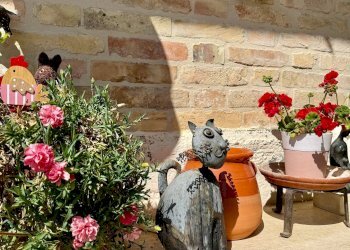 Foto 21 - Rustic Contrada Tesino
 
265, Offida - photo 21