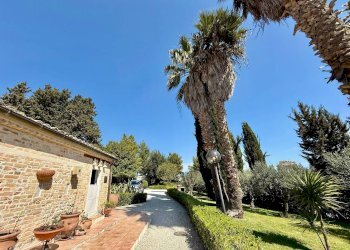 Foto 28 - Rustic Contrada Tesino
 
265, Offida - photo 28