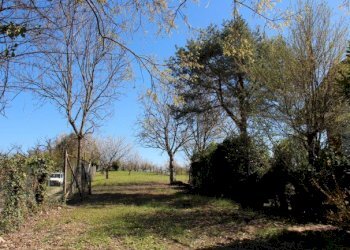 Appartamento Moncalieri - foto 29