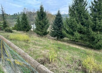 Casa indipendente Mondovì - foto 10