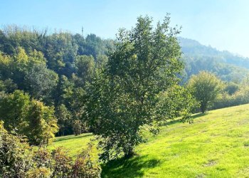 terreno circostante - Rustic villeto, Visone - photo 16