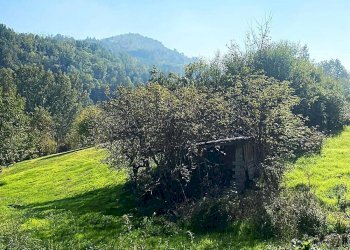 terreno circostante - Rustic villeto, Visone - photo 17