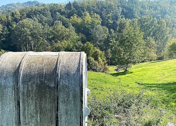 terreno circostante - Rustic villeto, Visone - photo 18