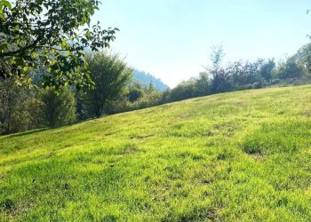 terreno circostante - Rustic villeto, Visone - photo 20