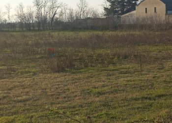 Giardino - Terreno agricolo via XXV aprile
 
40, Gambolò - foto 3