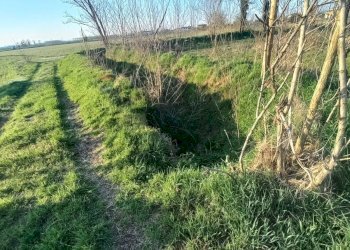 Giardino - Terreno agricolo via XXV aprile
 
40, Gambolò - foto 5
