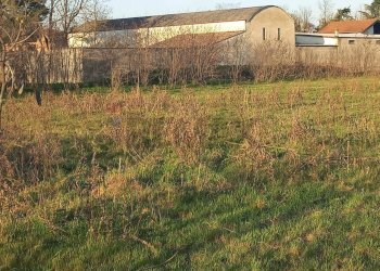 Giardino - Terreno agricolo via XXV aprile
 
40, Gambolò - foto 8