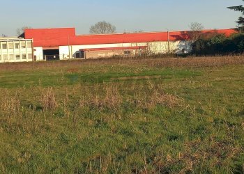 Giardino - Terreno agricolo via XXV aprile
 
40, Gambolò - foto 10