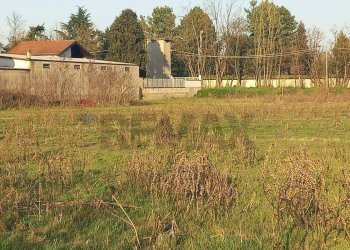 Giardino - Terreno agricolo via XXV aprile
 
40, Gambolò - foto 12