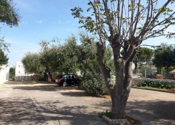 Non correlato - Bilocale Strada Vicinale Torre di Mizzo
 
16, Bari - foto 24