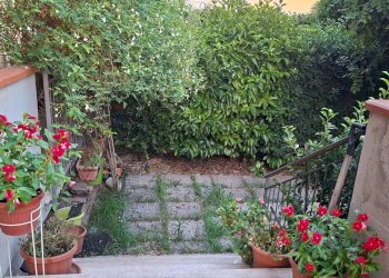 Giardino - Casa indipendente Via Carrubbazza
 
1, Lentini - foto 44