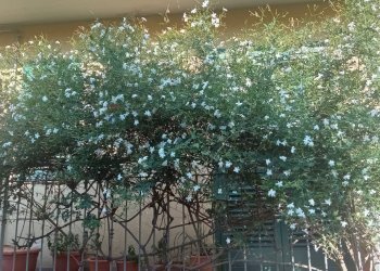 Non correlato - Casa indipendente Via Carrubbazza
 
1, Lentini - foto 46