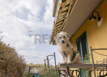Edificio all\'aperto - Casa indipendente Via Carrubbazza
 
1, Lentini - foto 54