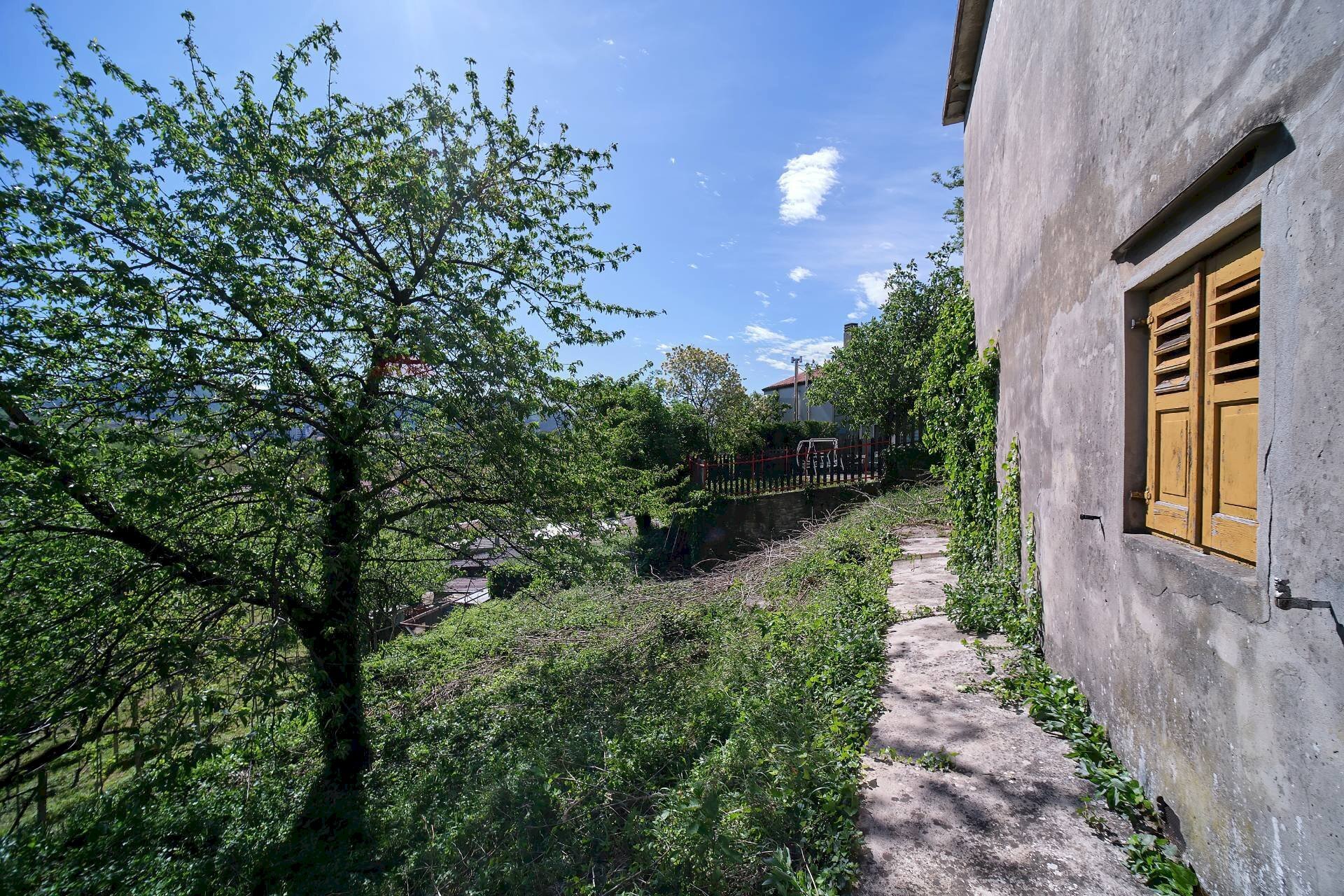 Giardino - Casa indipendente Via dei Vergottini
19, Trieste - foto 3