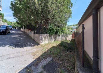 Giardino - Casa indipendente Via dei Vergottini
 
19, Trieste - foto 14