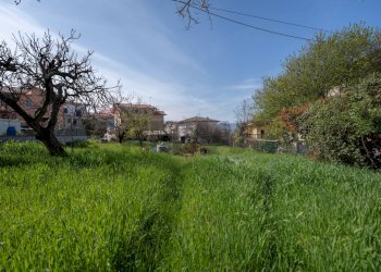 Giardino - Casa semi indipendente Via Giacomo Matteotti
 
183, Cupramontana - foto 41