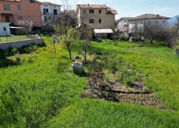 Giardino - Casa semi indipendente Via Giacomo Matteotti
 
183, Cupramontana - foto 47