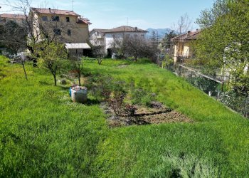 Giardino - Casa semi indipendente Via Giacomo Matteotti
 
183, Cupramontana - foto 54