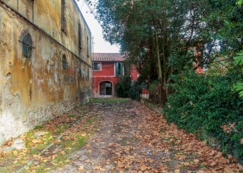 Giardino - Rustico Via Giulio Guelfi, Cascina - foto 22