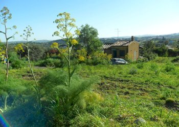 Giardino - Villa Via Due Fontane
 
122, Caltanissetta - foto 15
