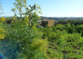 Giardino - Villa Via Due Fontane
 
122, Caltanissetta - foto 16