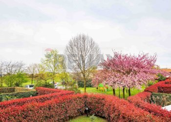 Giardino - Four-room apartment Curno - photo 37