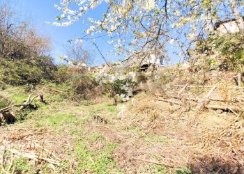 Vista delle montagne - Casa semi indipendente via villa, San Colombano Belmonte - foto 44