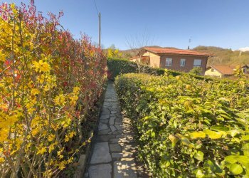 Foto 14 - Casa indipendente Via Tevere, Trana - foto 14