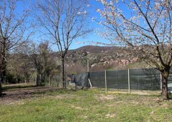 Foto 49 - Casa semi indipendente Strada Revigliasco
 
305, Moncalieri - foto 49