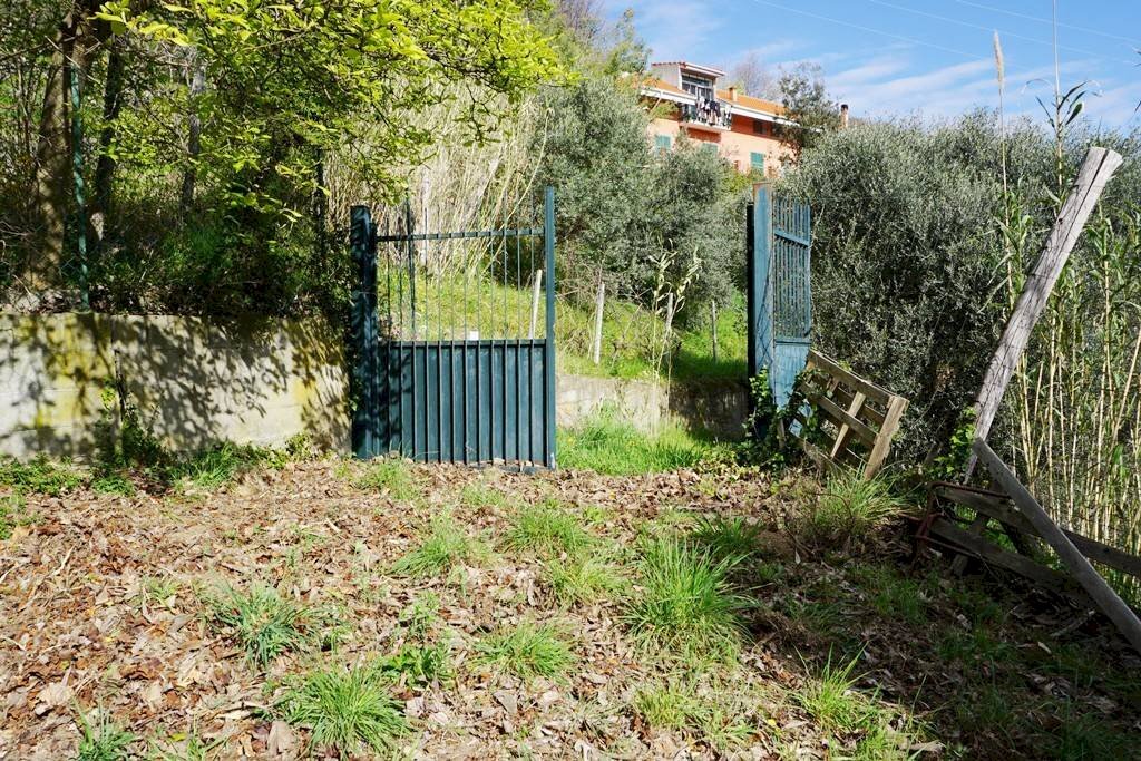 Foto 1 - Terreno agricolo Via Montepino, Albisola Superiore - foto 1