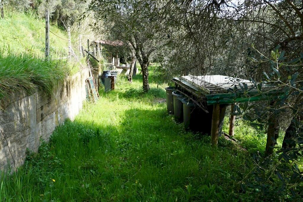 Foto 3 - Terreno agricolo Via Montepino, Albisola Superiore - foto 3