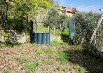 Foto 1 - Terreno agricolo Via Montepino, Albisola Superiore - foto 1