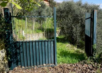 Foto 2 - Terreno agricolo Via Montepino, Albisola Superiore - foto 2