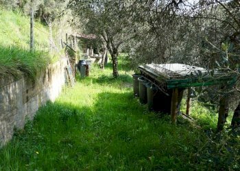 Foto 3 - Terreno agricolo Via Montepino, Albisola Superiore - foto 3